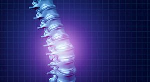 spine