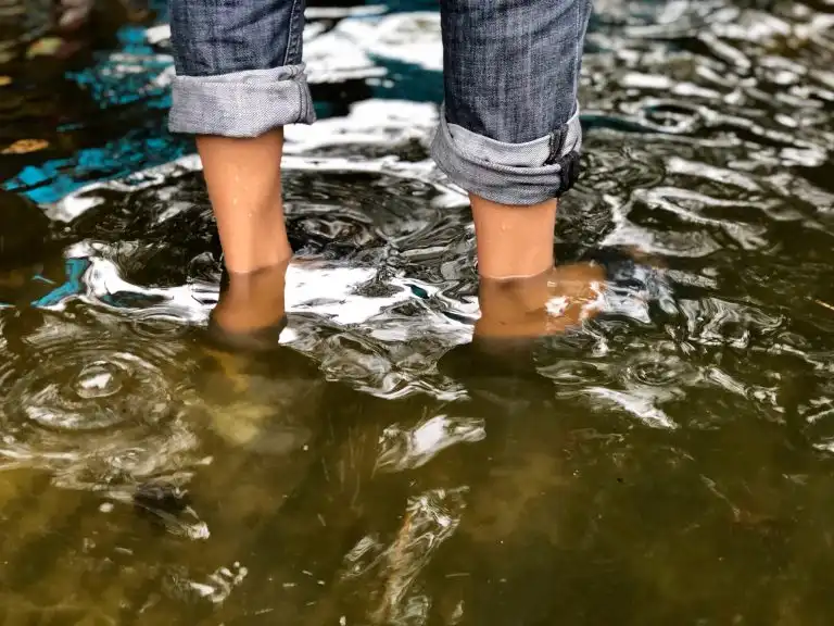 Leptospirosis claims three lives in Mumbai