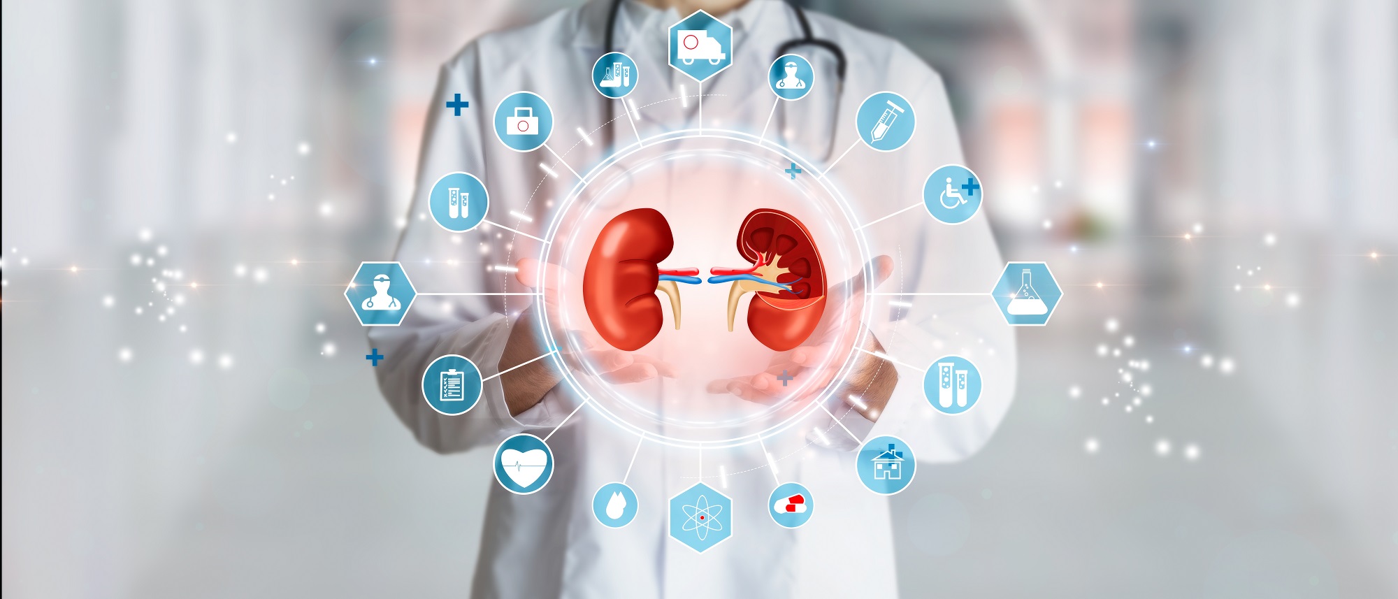 Top Kidney Transplant Hospital in India