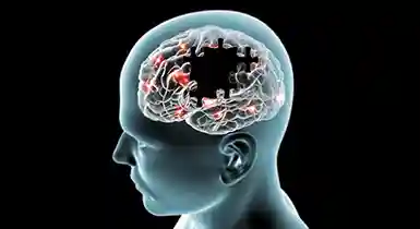 Alzheimers Disease