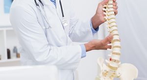 spine