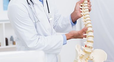 spine