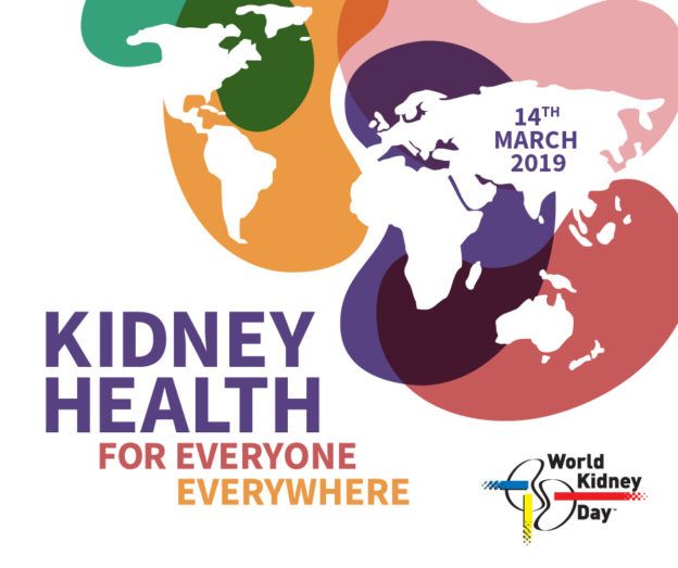 Kidney