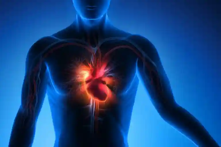 Cortication of Aorta