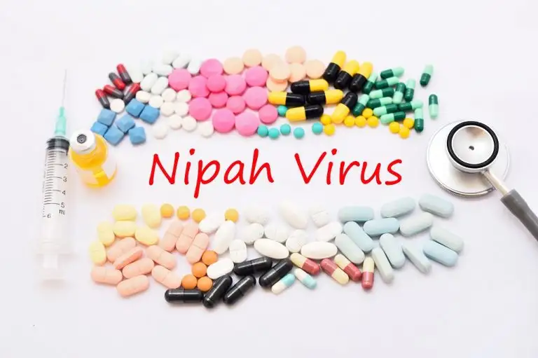 What is the Nipah Virus? Causes, Symptoms & Treatment