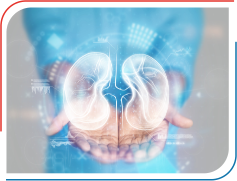 Kidney Transplant