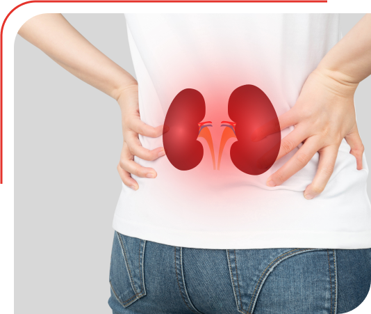 Kidney Transplant Treatment